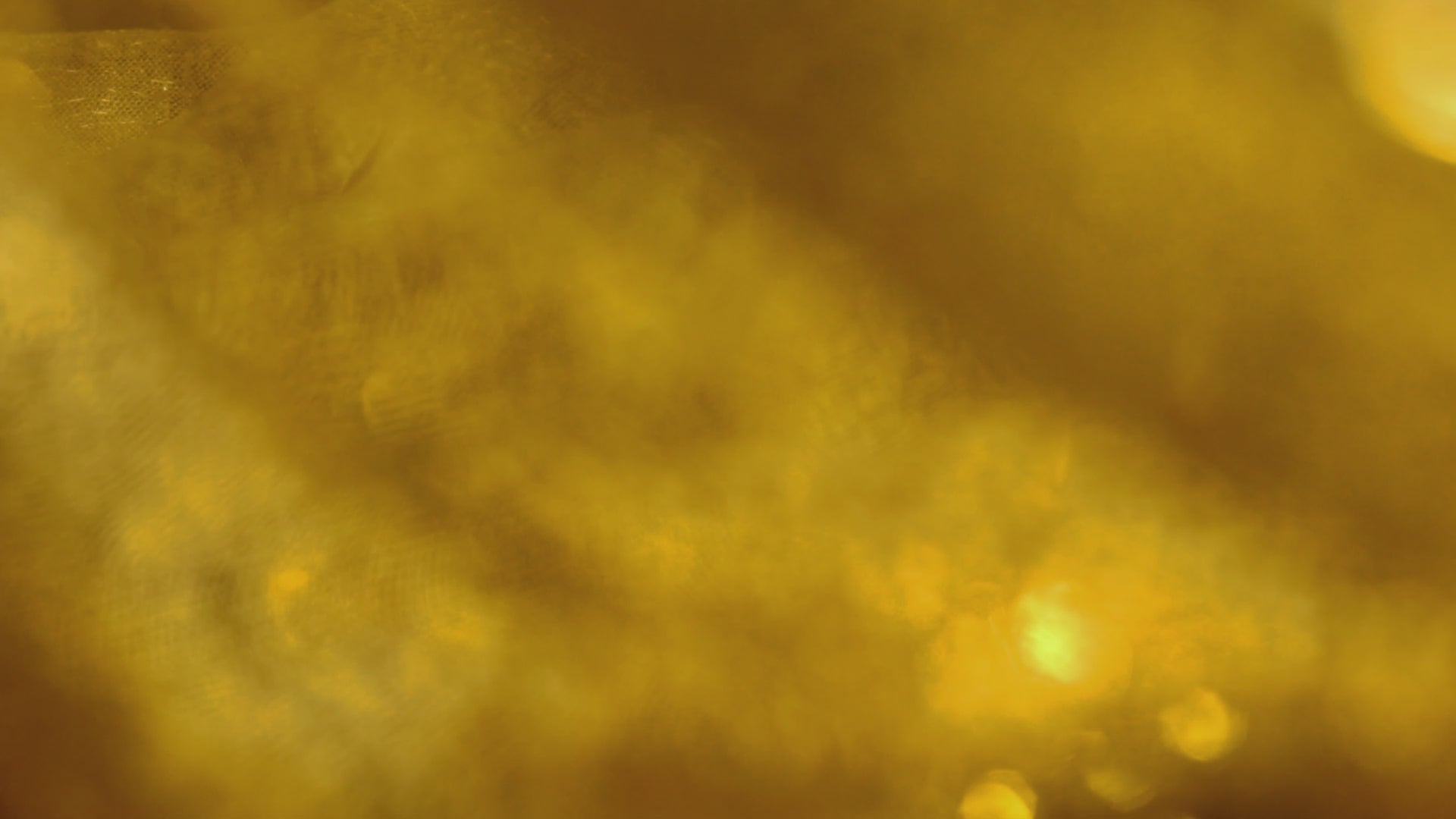 Hawa perfume bottle close-up – premium unisex fragrance UAE